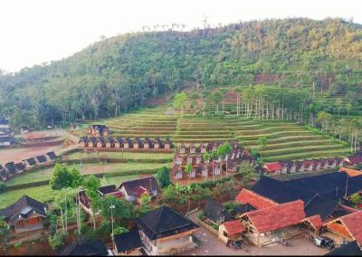 Penanaman Pohon dan Donasi di Kampung Cipta Gelar