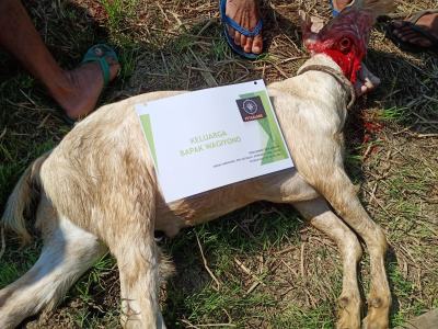 TQTQ jilid 2 petualang di desa wotgalih tegal