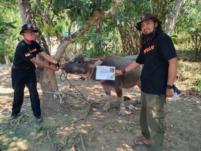TQTQ jilid 2 petualang di desa wotgalih tegal